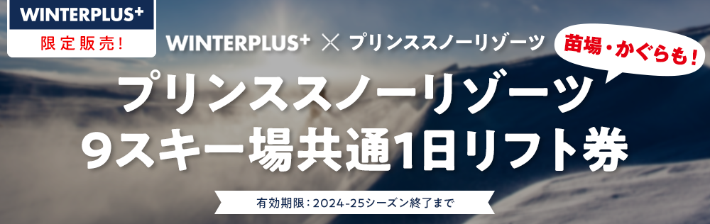 【WINTER PLUS限定販売】プリンススノーリゾーツ9スキー場共通1日券