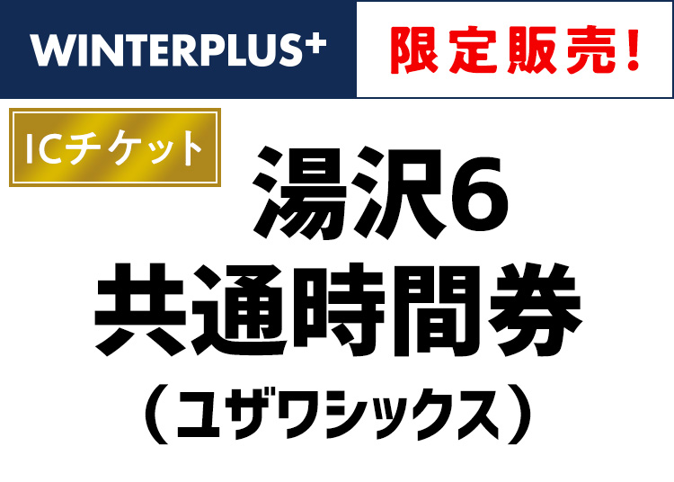 【大人】湯沢6（ユザワシックス）【ICカード】時間券【全営業日】10時間