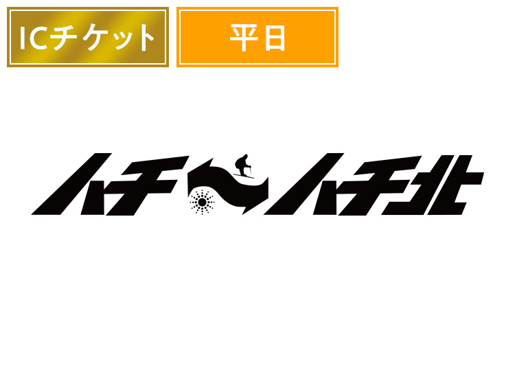 平【特割】【大人】ハチ・ハチ北スキー場 実質4500円【ICカード】1日券 【平日限定】 保証金500円含む